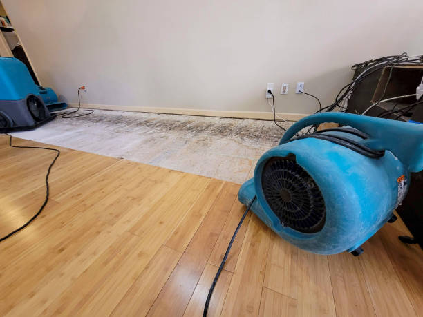 Professional Water Damage Repair technician working in West Alexander, PA